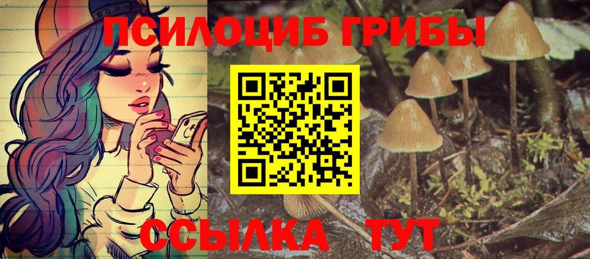 Псилоцибиновые грибы MAGIC MUSHROOMS Невинномысск